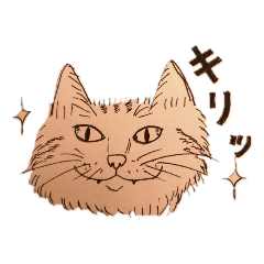 [LINEスタンプ] たまにキリッとする茶々丸