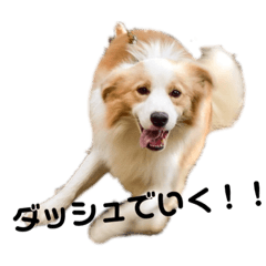 [LINEスタンプ] スチコ家