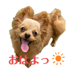 [LINEスタンプ] otorenスタンプ