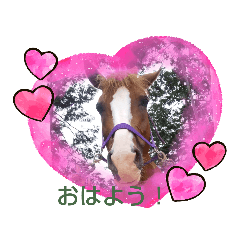 [LINEスタンプ] かわいいお嬢様ソーニャのつぶやき