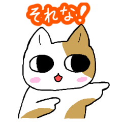 [LINEスタンプ] 毎日使えるネコキチのスタンプ