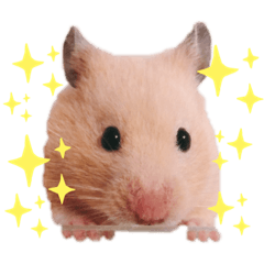 [LINEスタンプ] 砂川家のきなこさん2