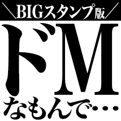 [LINEスタンプ] 【BIG】メゾンド・M