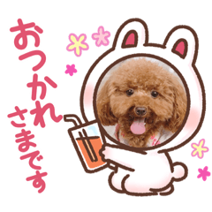 [LINEスタンプ] 大好き愛月