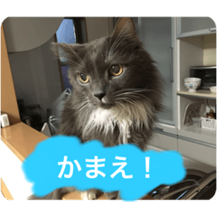 [LINEスタンプ] ゴエモンイエモンかまちょスタンプ
