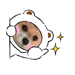 [LINEスタンプ] 我が家のハーフ犬ポメチ⑧