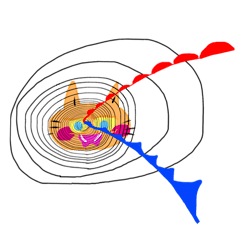 [LINEスタンプ] 毎日笑顔の猫