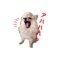 [LINEスタンプ] 夢さんの色々①