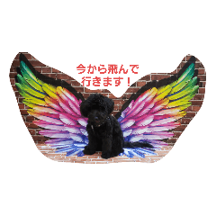 [LINEスタンプ] トイプードル【くろ】2♡