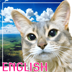 旅猫 Englishスタンプ