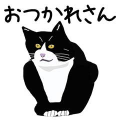 [LINEスタンプ] アジと八十匹のネコ達 その1（背景なし）