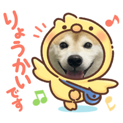 [LINEスタンプ] 柴犬 もこむぎ3