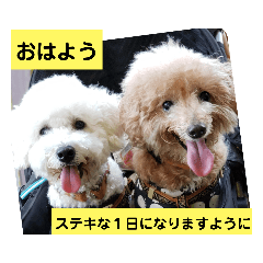 [LINEスタンプ] 殿若11