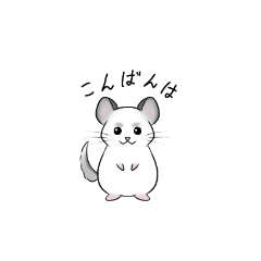 [LINEスタンプ] チンチラの敬語スタンプ