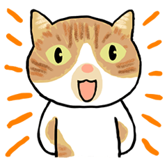 [LINEスタンプ] ほっこりみかんちゃん