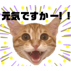 [LINEスタンプ] 松風だらけ②
