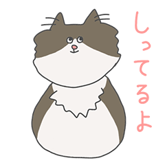 [LINEスタンプ] スコティッシュイフォールドのこむちゃん