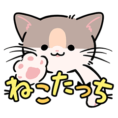 [LINEスタンプ] ノル猫のほたてさん