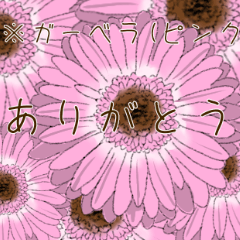 [LINEスタンプ] 花言葉0