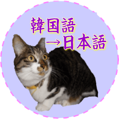[LINEスタンプ] 猫の写真でまいにち韓国語（日本語訳あり）の画像（メイン）