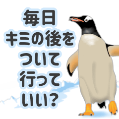 [LINEスタンプ] 世界の全18種オールペンギン図鑑