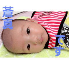 [LINEスタンプ] そうまるのすたんぷ2.