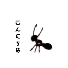 [LINEスタンプ] ありさんズ