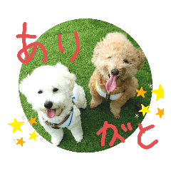 [LINEスタンプ] 殿若12