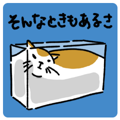 [LINEスタンプ] ねこは液体【ゆるゆる】