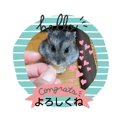 [LINEスタンプ] ハムスターのチップ君だよ