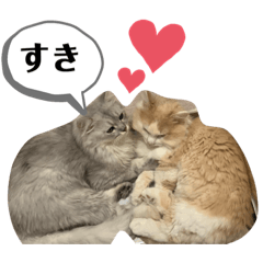 [LINEスタンプ] プティノワ