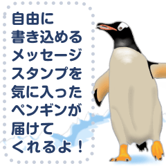 [LINEスタンプ] 世界のペンギンがキミのメッセージを届ける