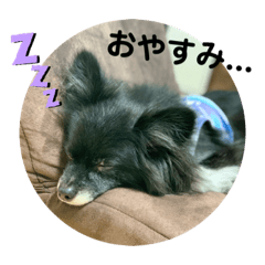 [LINEスタンプ] れおの毎日使えるスタンプ