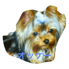 [LINEスタンプ] ver3