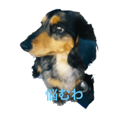 [LINEスタンプ] anjewelver4