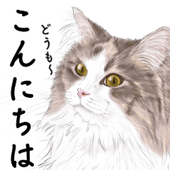 [LINEスタンプ] リアルな猫のスタンプ。