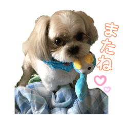 [LINEスタンプ] ジャッキーがいっぱい