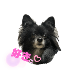 [LINEスタンプ] ラブリーれお♡