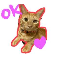 [LINEスタンプ] ゆかいな3兄弟 きなこ ごま しずく