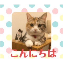 [LINEスタンプ] 毎日ほっこりさくちゃんスタンプ2