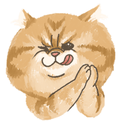 [LINEスタンプ] エキゾチック猫による日常会話スタンプ