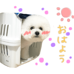 [LINEスタンプ] だいふくスタンプ○