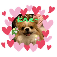 [LINEスタンプ] モコたん2
