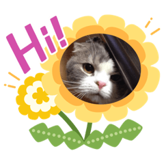 [LINEスタンプ] のりたま祭り②