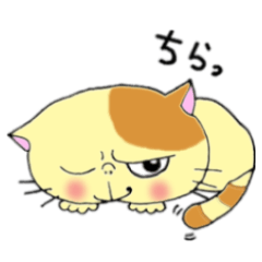 [LINEスタンプ] ねこのにゃーさんスタンプ【日常】