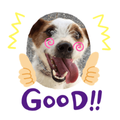 [LINEスタンプ] ジャックラッセルテリアのみっちゅん