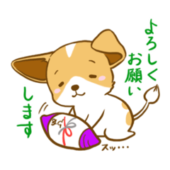 [LINEスタンプ] ひめたそ16歳ミックス犬