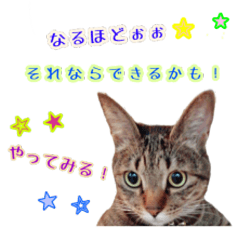 [LINEスタンプ] ねころぶNo.1