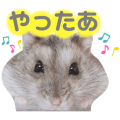 [LINEスタンプ] もちまる◎2