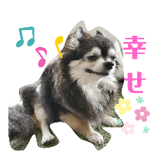 [LINEスタンプ] ちびたの気持ち